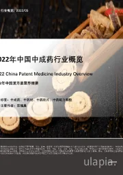 2022年中国中成药行业概览