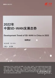 2022年中国SD-WAN发展态势（摘要版）