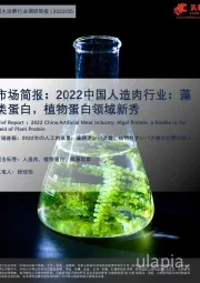 市场简报：2022中国人造肉行业：藻类蛋白，植物蛋白领域新秀