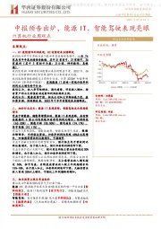 计算机行业周观点：中报预告出炉，能源IT、智能驾驶表现亮眼