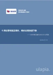 纺织服装&化妆品行业周报：6月社零恢复正增长，棉价出现快速下跌