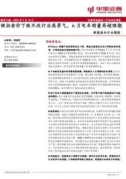 新能源车行业周报:锂拍卖价下跌不改行业高景气,6月电车销量再超预期