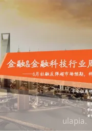 金融&金融科技行业周报:6月社融反弹超市场预期,科创板做市业务实施细则正式发布