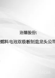 电力设备:治臻股份:燃料电池双极板制造龙头公司