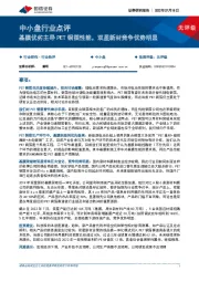 中小盘行业点评：基膜优劣主导PET铜箔性能，双星新材竞争优势明显