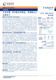 白色家电行业深度分析：中央空调：家电最后的堡垒，有望被本土品牌攻下