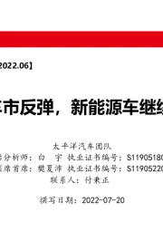 汽车月度销量跟踪及投资策略：政策催化车市反弹，新能源车继续势如破竹