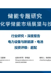 储能专题研究：全球电化学储能市场展望与技术创新