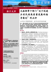 文旅部等十部门“关于促进乡村民宿高质量发展的指导意见”的点评：全方位引导保障发展，差异化食宿或迎机遇