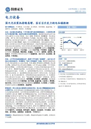 电力设备行业周报：国内光伏装机持续高增，容百当升发力钠电和锰铁锂