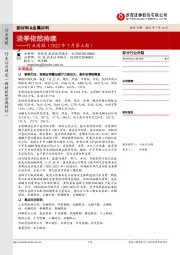 新材料&金属材料行业周报（2022年7月第4期）：淡季依然持续