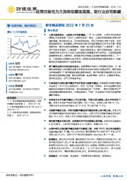 旅游及景区行业投资策略周报:数字藏品跟踪-政策完备性为文旅转型擘画蓝图,新行业进军数藏