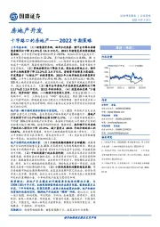 房地产开发2022中期策略：十字路口的房地产