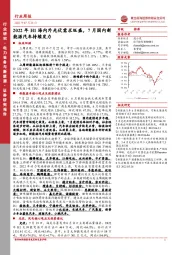 电力设备与新能源行业周报：2022年H1海内外光伏需求旺盛，7月国内新能源汽车持续发力