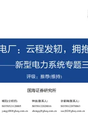 新型电力系统专题三：虚拟电厂：云程发轫，拥抱蓝海