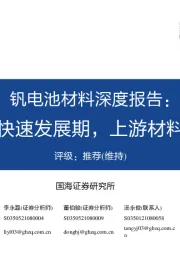 钒电池材料深度报告:钒电进入快速发展期,上游材料迎新机遇