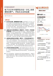 电子设备行业动态点评:电子2022年中报预告总结—分化,持续拥抱高景气,开始关注反转迹象