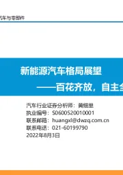 新能源汽车格局展望：百花齐放，自主全面崛起！