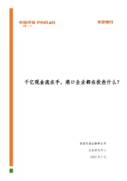 基础设施行业港口投资分析报告：千亿现金流在手，港口企业都在投些什么？