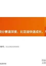 汽车行业：智能电动汽车细分赛道深度：比亚迪快速成长，产业链偕行共进