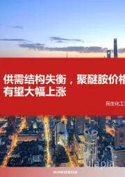 化工:供需结构失衡,聚醚胺价格有望大幅上涨