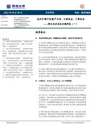 新兴光伏电池专题研究(一):龙头引领下的量产元年,N型向左,P型向右