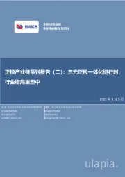 电力设备与新能源：正极产业链系列报告（二）：三元正极一体化进行时，行业格局重塑中