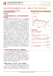 有色-能源金属行业周报：海内外锂价格指数均上涨，强推上下游一体化企业