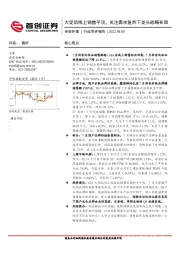 美容护理行业简评报告：大促后线上销售平淡，关注需求复苏下龙头战略布局