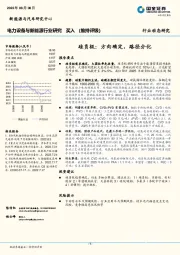 电力设备与新能源行业研究：硅负极：方向确定，路径分化