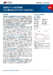 消费电子8月投资策略：关注折叠屏新机发布及苹果产业链旺季催化