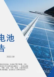 2022年中国光伏电池行业短报告