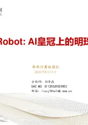 Robot：AI皇冠上的明珠