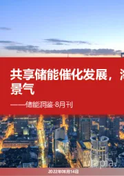 储能洞鉴·8月刊:共享储能催化发展,海外延续高景气
