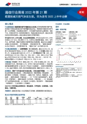 通信行业周报2022年第21期：欧盟削减天然气协议生效，华为发布2022上半年业绩