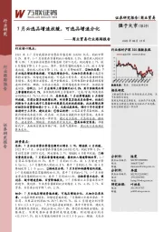 商业贸易行业跟踪报告：7月必选品增速放缓，可选品增速分化