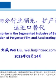 化工行业:背材基膜细分行业领先,扩产聚酯薄膜加速进口替代