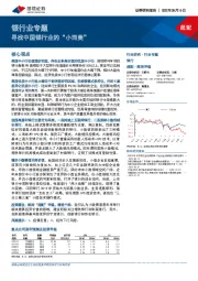 银行业专题:寻找中国银行业的“小而美”
