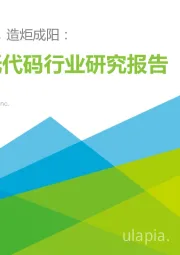 中国低代码行业研究报告：不啻微芒，造炬成阳