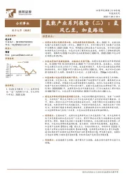 公用事业：氢能产业系列报告（二）：氢风已至，加氢路远