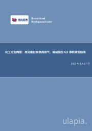 化工行业周报：高分散白炭黑高景气，确成股份Q2净利润创新高