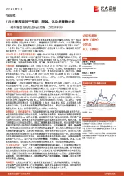 纺织服装与化妆品行业周报:7月社零表现低于预期,服装、化妆品零售走弱