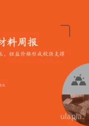 新材料周报：四川限电供应承压，锂盐价格形成较强支撑
