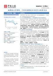 战略科技(计算机)行业周报:短期热点空窗期,中报风险释放后或是行业配置良机