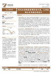 化工新材料行业周报：限电加剧刺激黄磷价格升温，九部委联合发布碳达峰技术