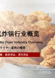 中国家用空气炸锅行业概览