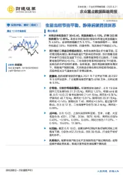 农业重点数据跟踪周报：生猪出栏节奏平稳，静待后续消费复苏