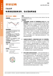 汽车行业点评：哈弗新能源战略发布，自主混动再加速