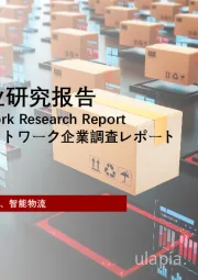 2022年菜鸟网络企业研究报告