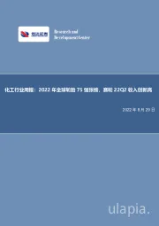 化工行业周报：2022年全球轮胎75强张榜，赛轮22Q2收入创新高